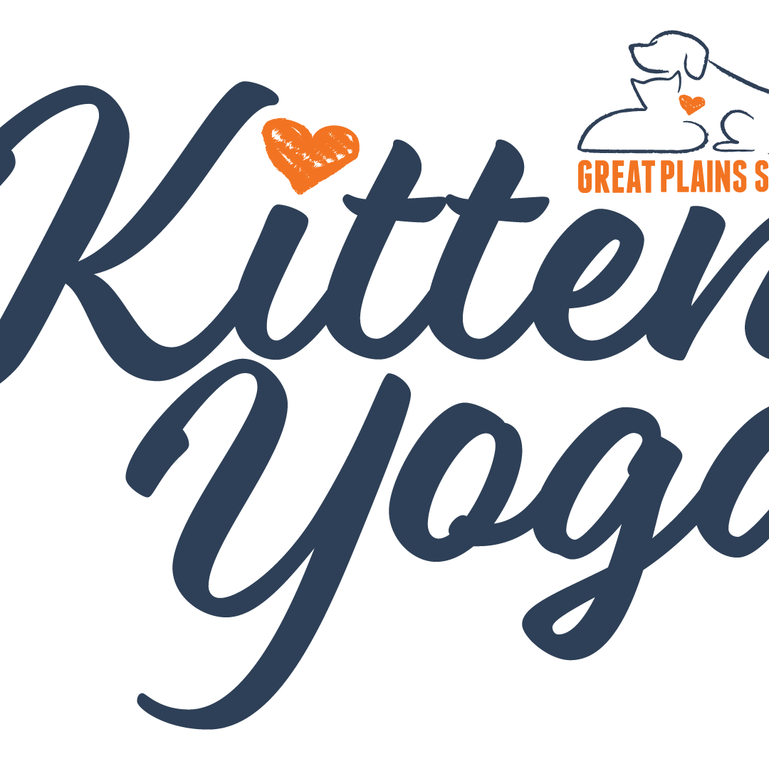 Kitten Yoga - logo